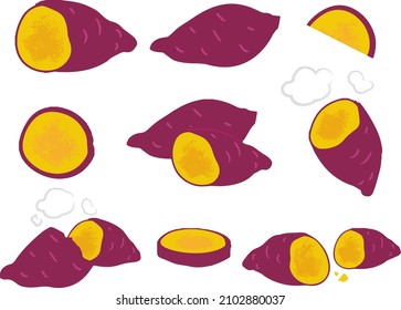 Vector colorful set of sweet potatoes isolated on white. Batata or yam with red skin, cartoon vegetables used for poster, website, brochure, tag