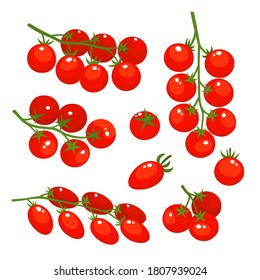 Vector colorful set of tomatoes cherry isolated on white. Different varieties of tomatoes, cartoon vegetables used for poster, website, brochure, tag