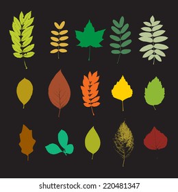 Vector colorful silhouette big leaf set