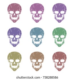 Vector Colorful Skulls On The White Background
