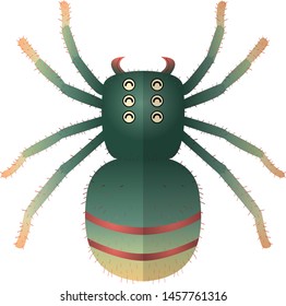 vector of colorful spider with symmetry form.