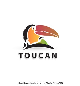 Vector colorful stylized silhouette toucan. Artistic creative design. Elegant bird logo icon.