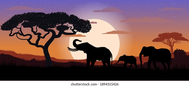 Vector colorful. Sunset. Safari. Travel. Elephant family