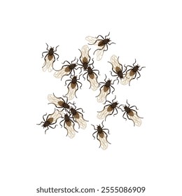 Vector Colorful Textured Illustration of Midges Isolated on White Background
