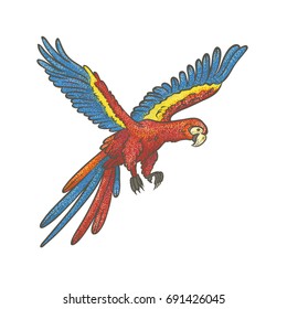Vector colorful textured sketch drawn by hand of parrot on a white background. Bright exotic tropical flying bird macaw. Isolated vivid art outline illustration