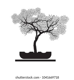 Vector of colorful tree, Japanese hawthorn bonsai, Detailed image. Vector illustration.