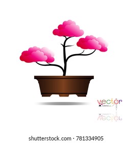 Vector of colorful tree, Japanese hawthorn bonsai in bloom, Detailed image. Vector illustration.