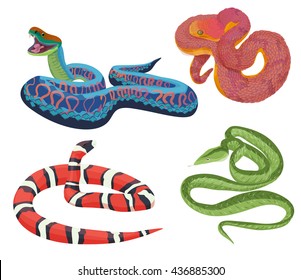 Vector colorful tropical exotic snakes isolated set collection.