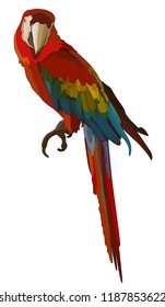 Vector colorful tropical parrot. Vector isolated elements on the white background.