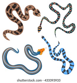 Vector colorful tropical snakes collection. Exotic poisonous snakes set top view.