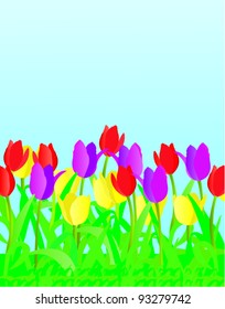 vector colorful tulips