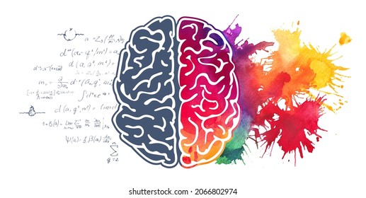 Cerebro de acuarela colorido vector, ilustración del concepto de creatividad