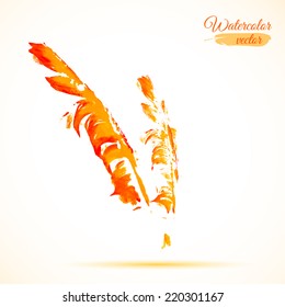 Vector colorful watercolor feather. Can be used for web pages, printing, invitations, cards etc.