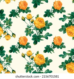 Vector colorful wild rose flower pattern vintage background 