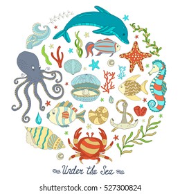 Vector Colorful wild sea life shell, jellyfish, fish, starfish, octopus, whale, dolphin, seahorse,