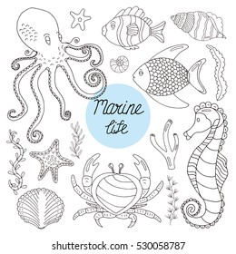 Vector Colorful wild sea life shell, jellyfish, fish, starfish, octopus, whale, dolphin, seahorse. Elements background set.