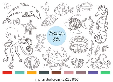 Vector Colorful wild sea life shell, jellyfish, fish, starfish, octopus, whale, dolphin, seahorse. Elements background set.
