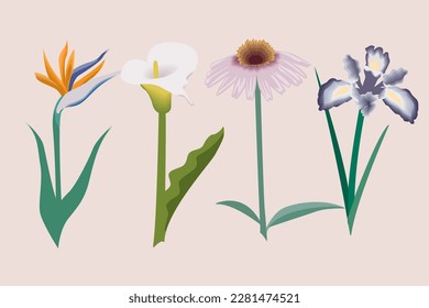 vector colorfull flowers design art