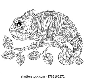 Vector coloring book for adults, contour chameleon on a branch isolated on white background. Patterns and small details for coloring page