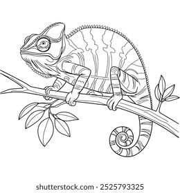 Vector coloring book for adults, contour chameleon on a branch isolated on white background. Patterns and small details for coloring page