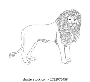 Libro de coloreo vectorial para niños y adultos con león. El rey de los animales, un león con una mané cubierta de patrones. Estudiando animales, arte lineal, león realista sobre un fondo blanco aislado