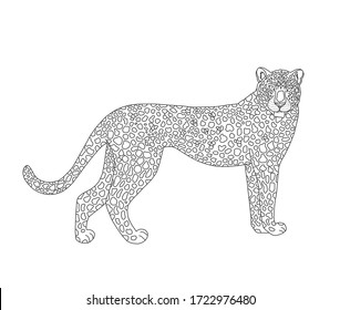 Vector coloring book for children and adults with a leopard. A rare animal listed in the Red Book, the cat family. A beautiful graceful animal with a skin in a small spot. Coloring page series Animals