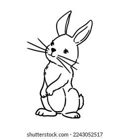 Vector coloring book illustration. Cute Hand Drawn Bunny isolatet on wite background