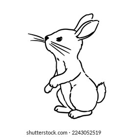 Vector coloring book illustration. Cute Hand Drawn Bunny isolatet on wite background