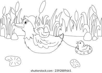 Vector coloring book with mother duck and ducklings