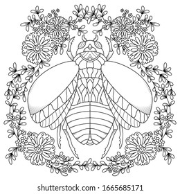 vector coloring book page for adult. stylized cartoon image, insect with floral pattern in zentangle art-style