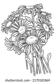 Vector coloring book page for adults. Bouquet of meadow flowers. Contour black and white illustration of chamomile flowers