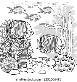 Vector coloring book page for adults. Black and white illustration of underwater life, sea creature, shell, algae and fish