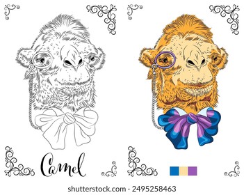 Vector coloring book page of a camel wearing a bow and monocle, ready for coloring