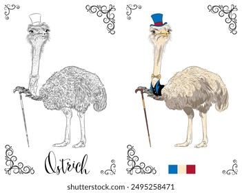 Vector coloring book page of an ostrich wearing a top hat and bow tie, ready for coloring