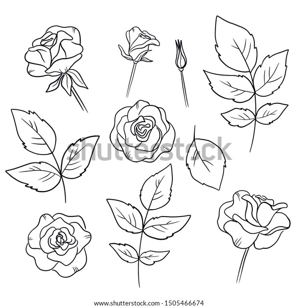 Vector Coloring Book Page Rose Flower Stock Vector (Royalty Free ...