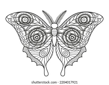 Vector coloring book page. Silhouette of elegant butterfly or moth in mandala style isolated on white background