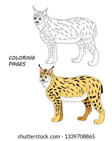 Vector coloring book pages for children 
Cartoon lynx illustration. 
