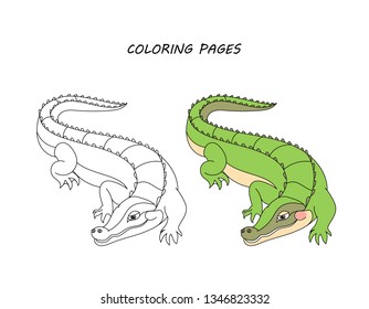 Vector coloring book pages for children 
Cartoon crocodile illustration.  White background.

