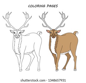 Vector coloring book pages for children 
Cartoon deer illustration. 