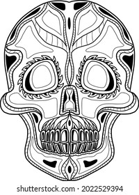 Vector Coloring Human Skull.  Masquerade Mask.  Human Skull Black Outline On White Background