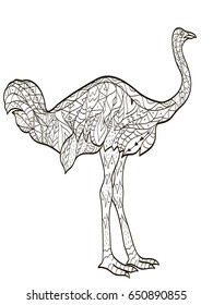 Vector coloring ostrich bird for adults illustration. Anti-stress coloring for adult animal. Zentangle style. Black and white lines. Lace pattern