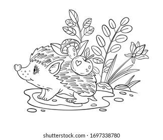 Vector coloring page with baby hedgehog, plants, apples, mushrooms, leaves. Doodle coloring book with cute animal isolated on white. For nursery posters, pre-school educational games,prints for kids. 