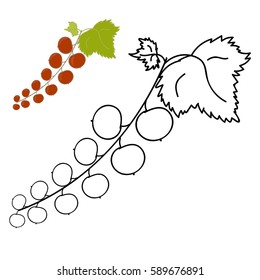 Vector. Coloring page for children. Red currant.