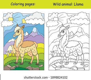 Vector coloring page with cute llama in mountain area. Cartoon isolated colorful illustration. Coloring book page and color template. For coloring book, design, preschool education, print and game.