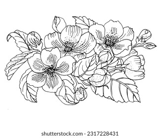 página de color vectorial con flor, arte de línea