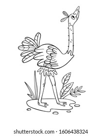 Vector coloring page with funny ostrich in a puddle. Tropical bird in cartoon doodle style. Coloring book for preschool educational games, materials, nursery posters and prints.