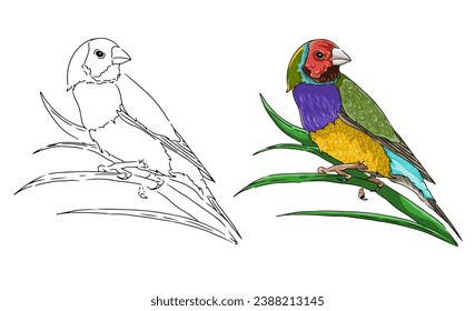Vector coloring page image of a colored bird perched on a leaf. Beautiful color bird vector