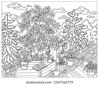 Vector coloring page with plants and flowers in pots on wooden pation in the garden. Black and white line art illustration with summer concept and symbols. 