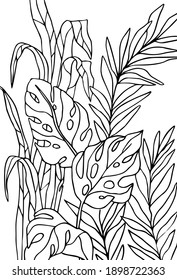 vector coloring page. tropical forest. outline leaves