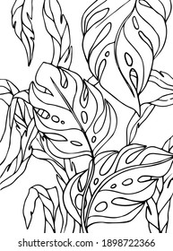 vector coloring page. tropical forest. outline leaves